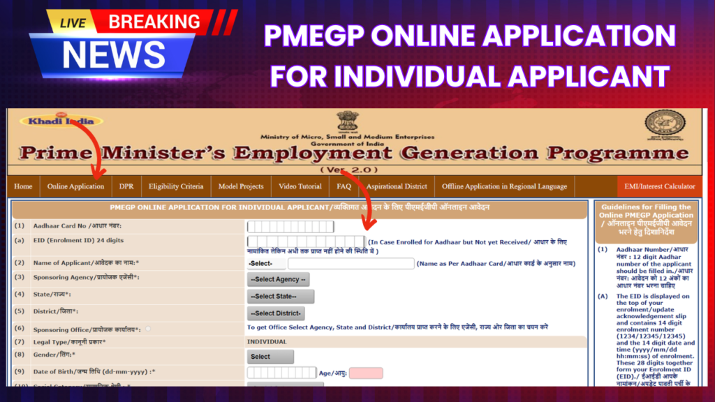 PMEGP ONLINE APPLICATION FOR INDIVIDUAL APPLICANT